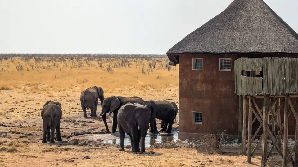 namibia2025_311-scaled.jpg
