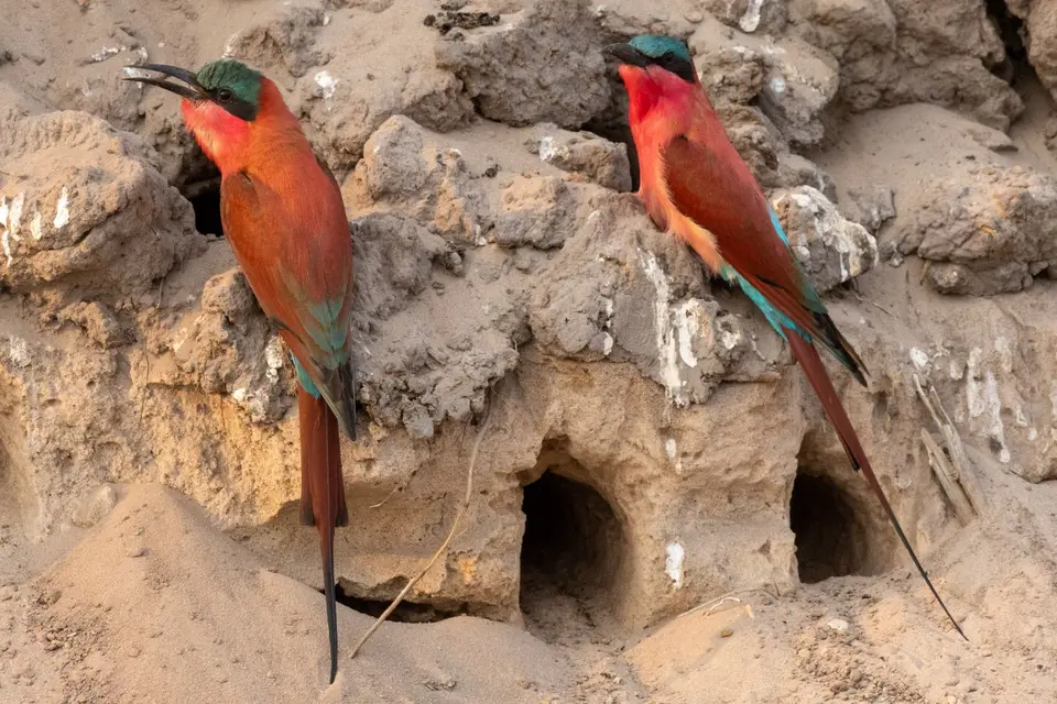 namibia2025_516.jpg