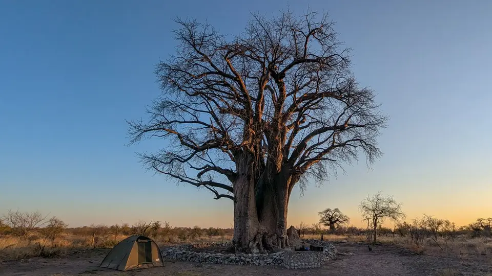 namibia2025_640-2.jpg