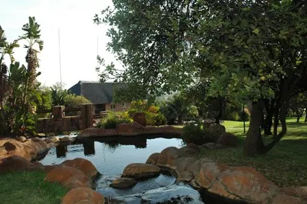 DSC_1000.JPG