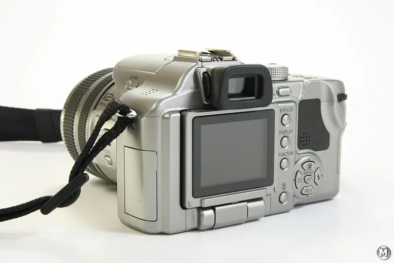 image3.jpg