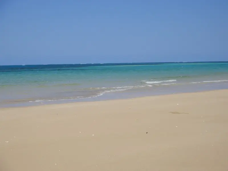 157.JPG