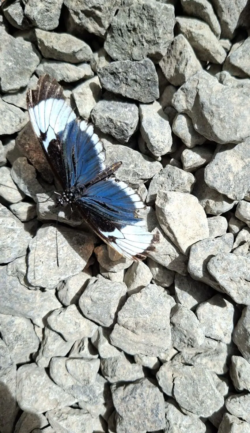 20260108_101415.jpg