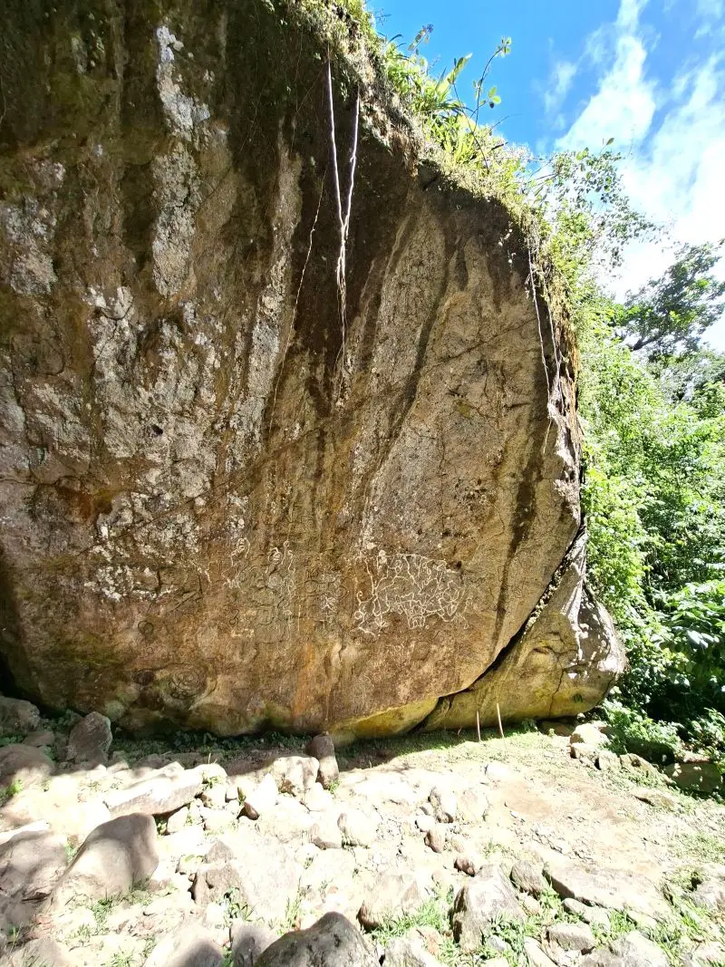 20260108_112601.jpg