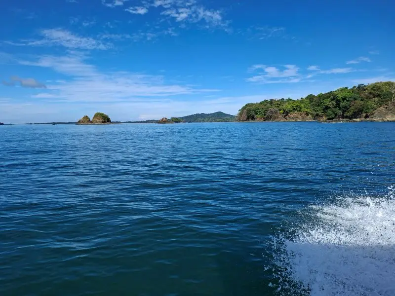 20260113_094749.jpg