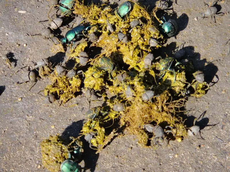 369.JPG