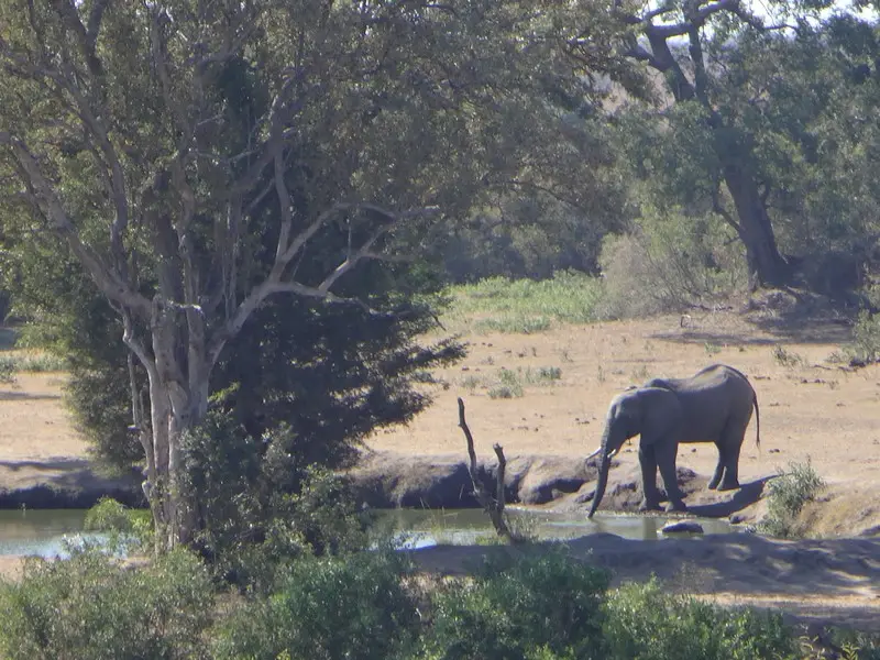 Afriquedusud2016143.JPG