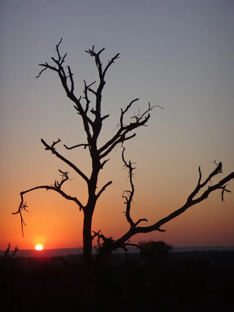 Afriquedusud2016176.JPG