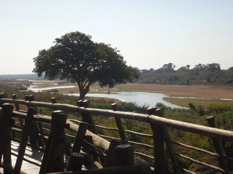 Afriquedusud2016196.JPG