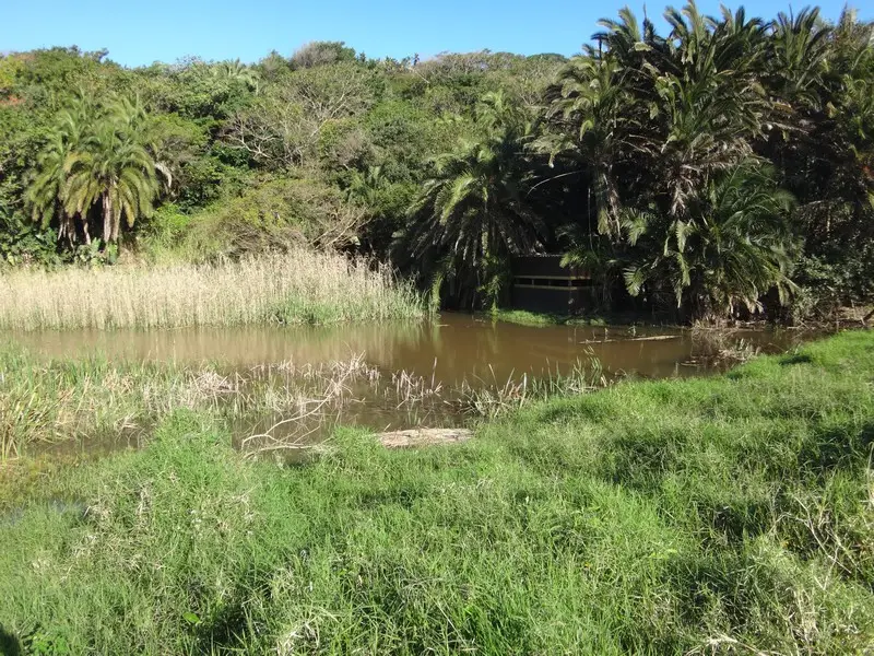 Afriquedusud2016325.JPG
