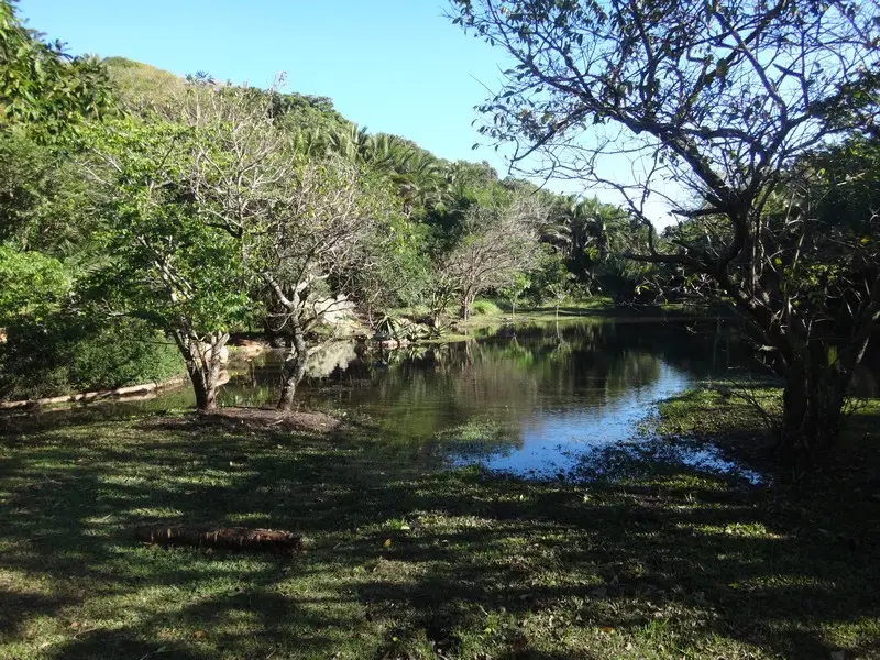 Afriquedusud2016326.JPG