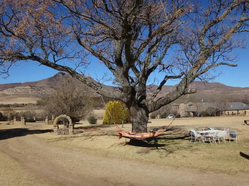 Afriquedusud2016472.JPG