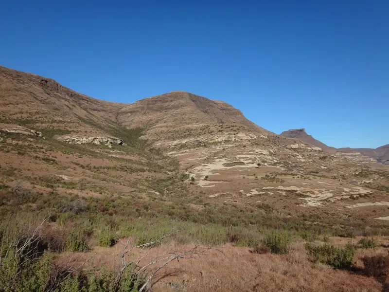 Afriquedusud2016474.JPG