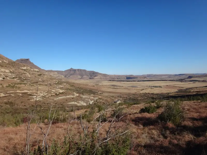 Afriquedusud2016475.JPG