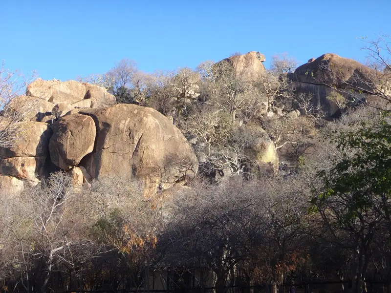 Afriquedusud2016495.JPG