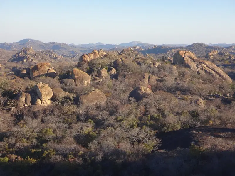 Afriquedusud2016500.JPG