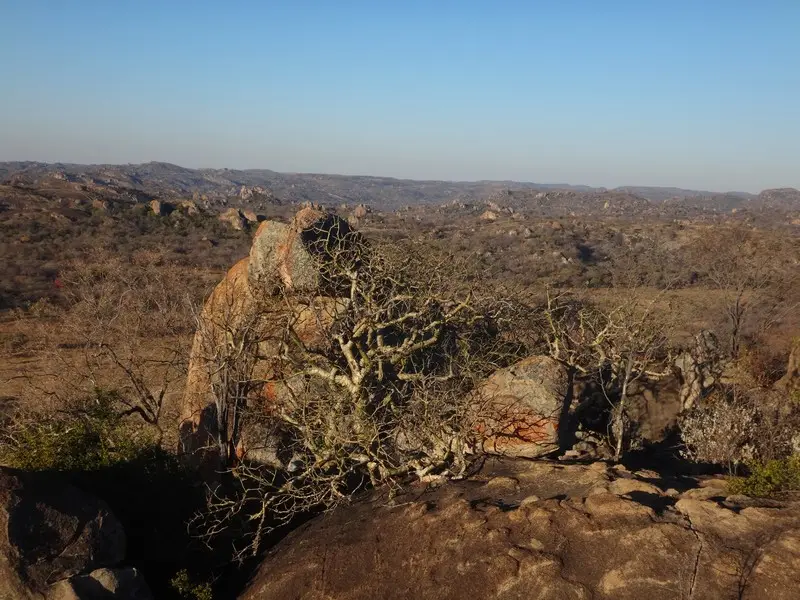 Afriquedusud2016502.JPG