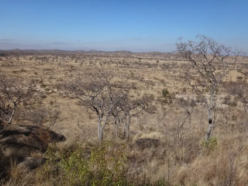 Afriquedusud2016543.JPG