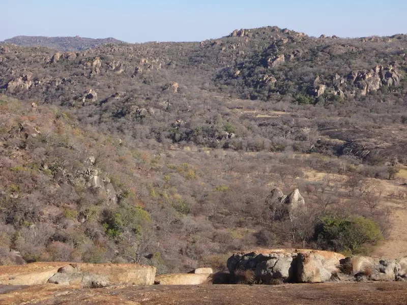 Afriquedusud2016558.JPG