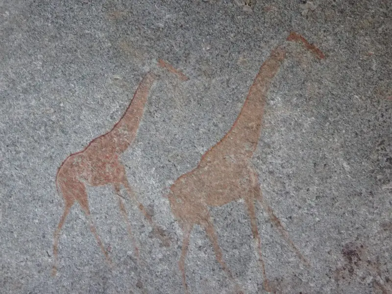 Afriquedusud2016565.JPG