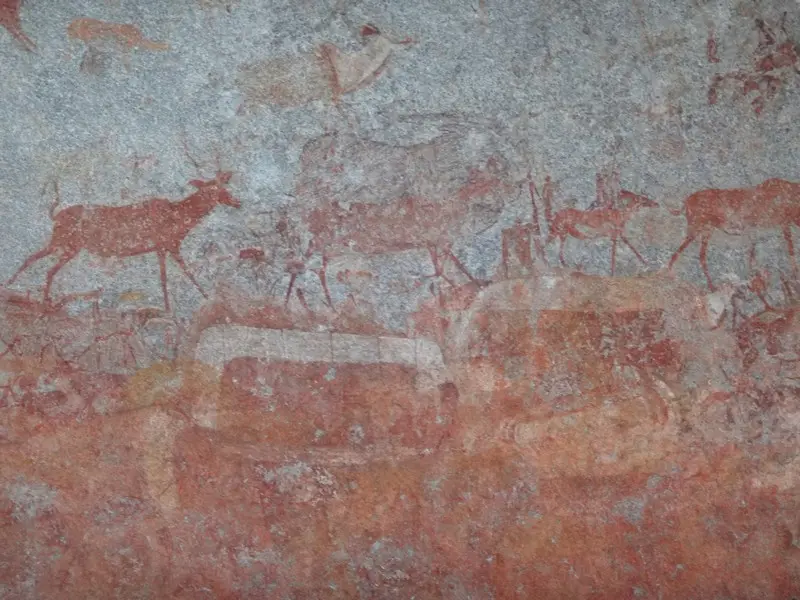 Afriquedusud2016566.JPG