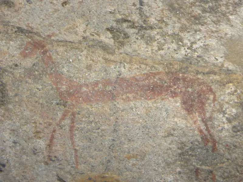 Afriquedusud2016570.JPG