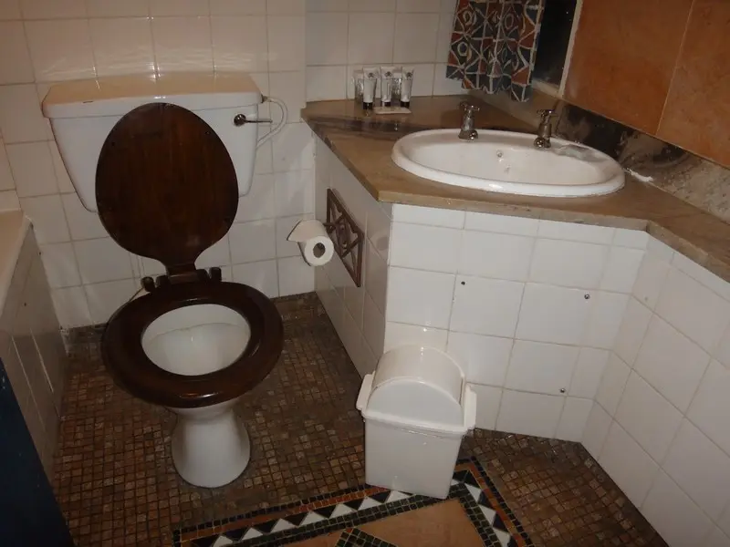 Afriquedusud2016582.JPG