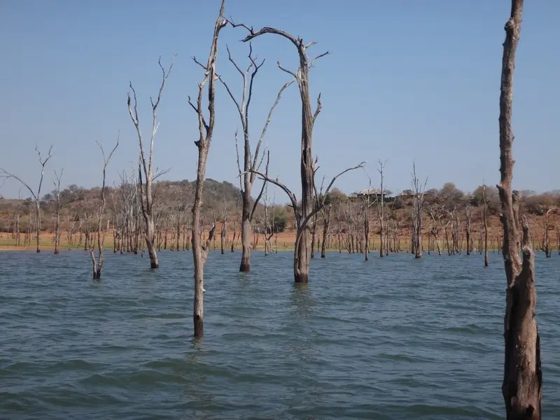 Afriquedusud2016653.JPG