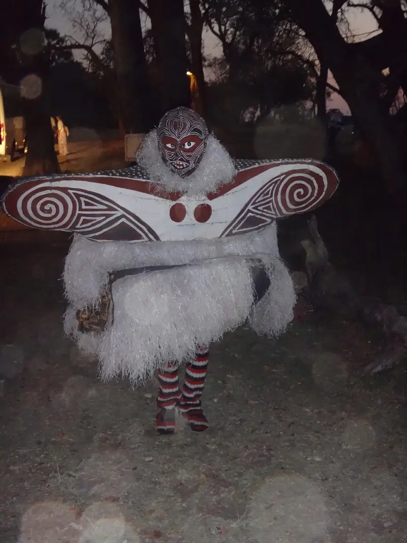 Afriquedusud2016732.JPG