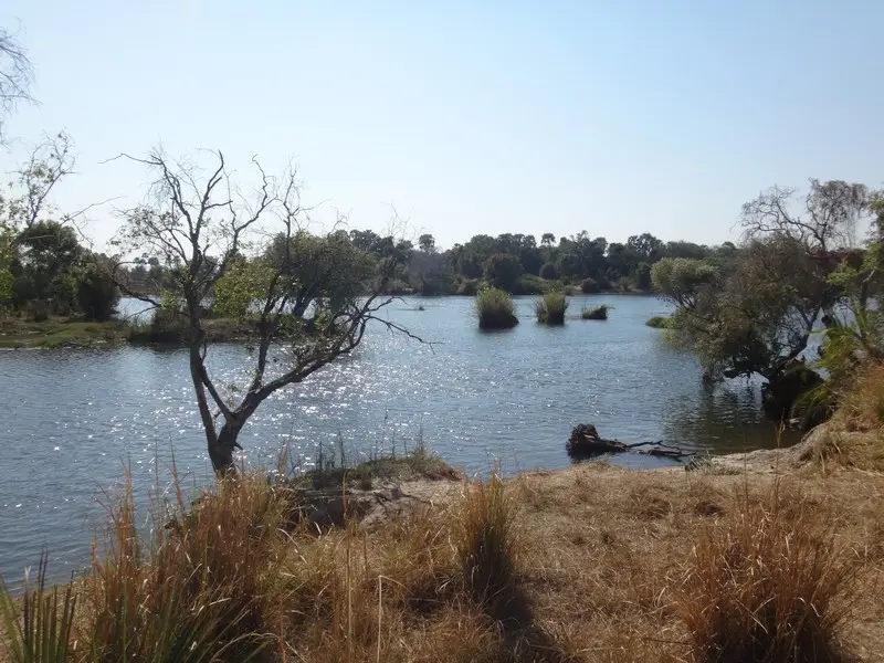 Afriquedusud2016740.JPG