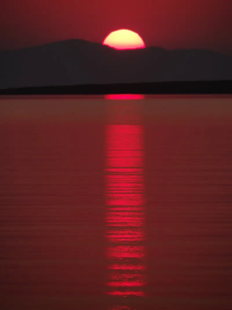 DSC00265.JPG