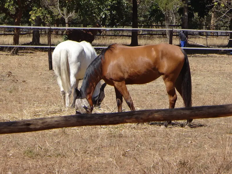 DSC00321.JPG