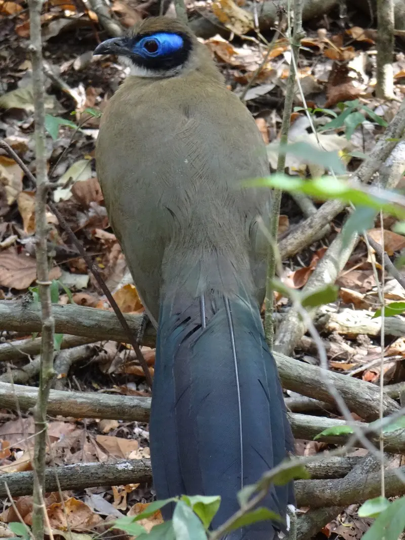 DSC00471-2.JPG