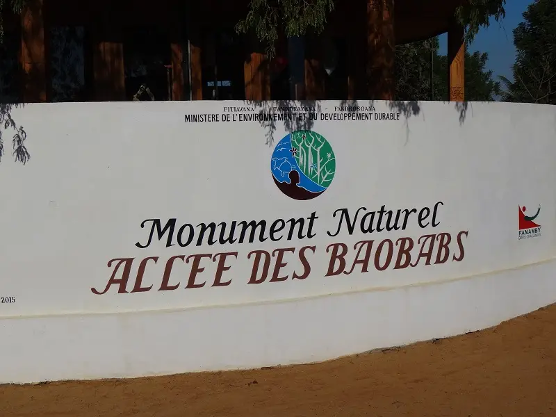 DSC00525-2.JPG