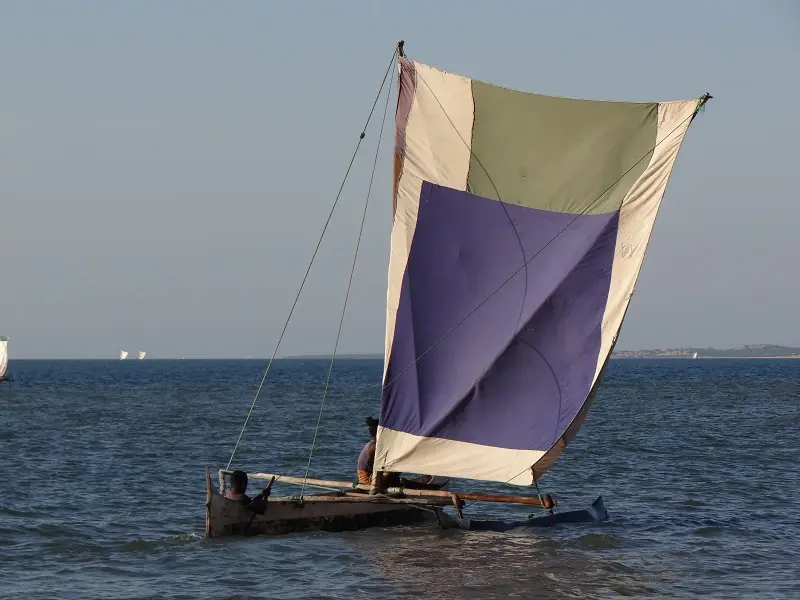 DSC00598-2.JPG