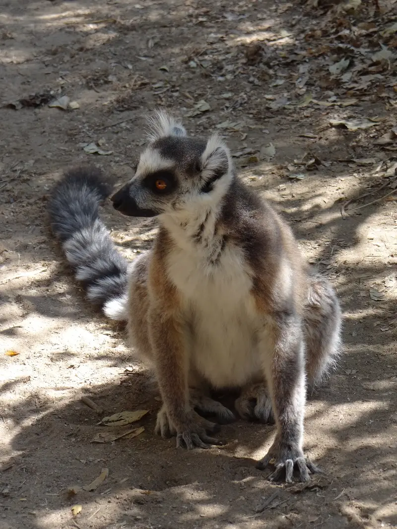 DSC00978-2.JPG