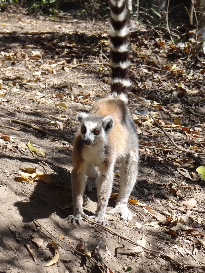 DSC00979-2.JPG