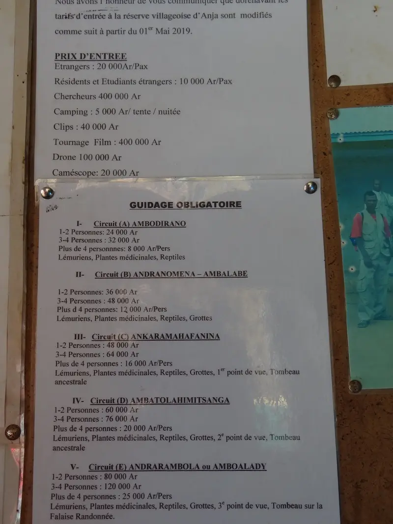 DSC01031-2.JPG