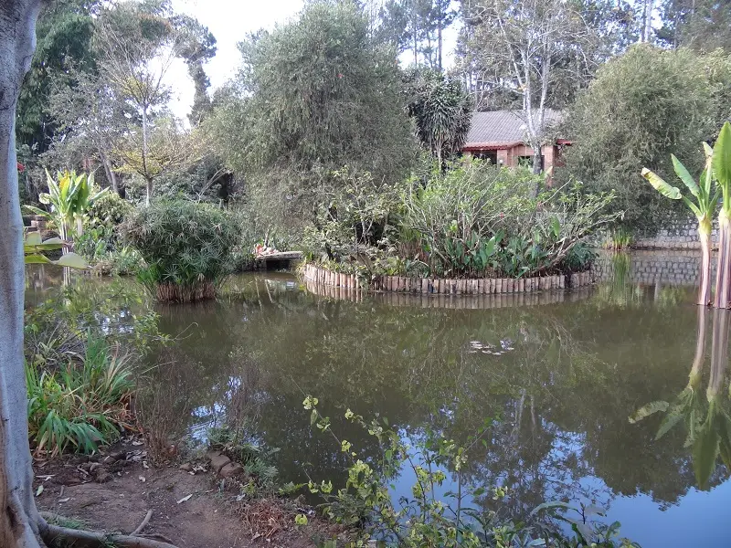 DSC01257-2.JPG