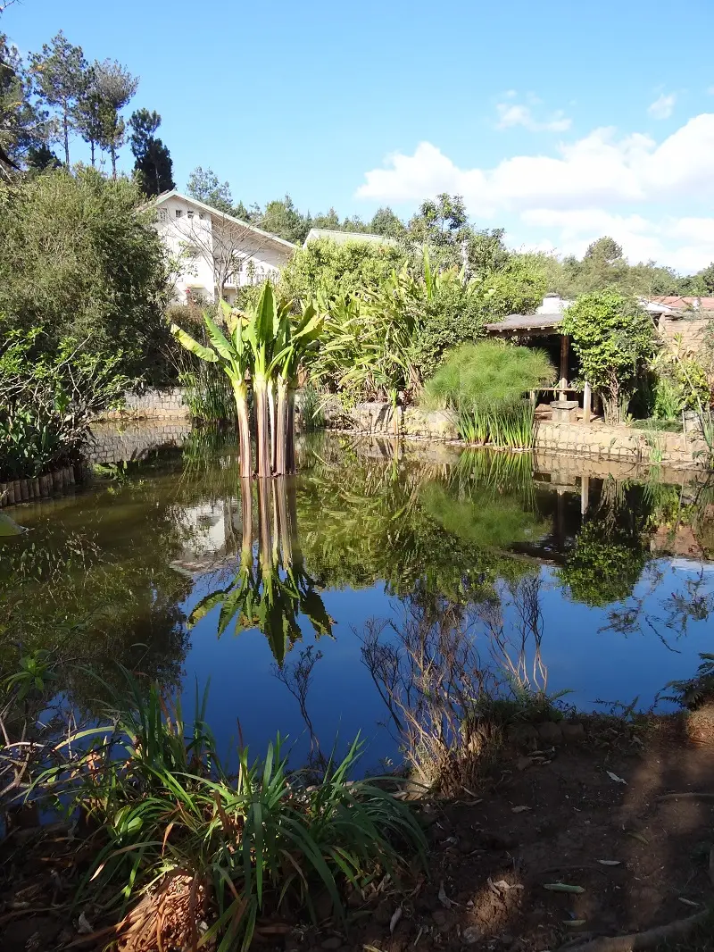 DSC01258-2.JPG