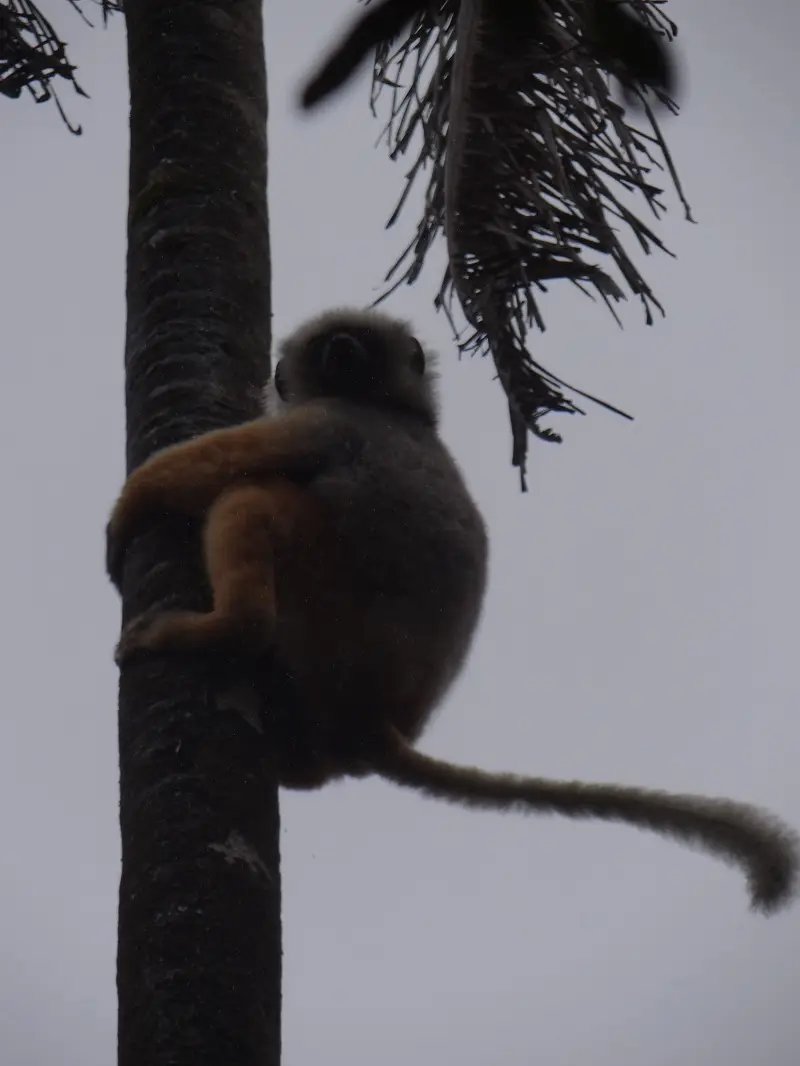 DSC01293-2.JPG