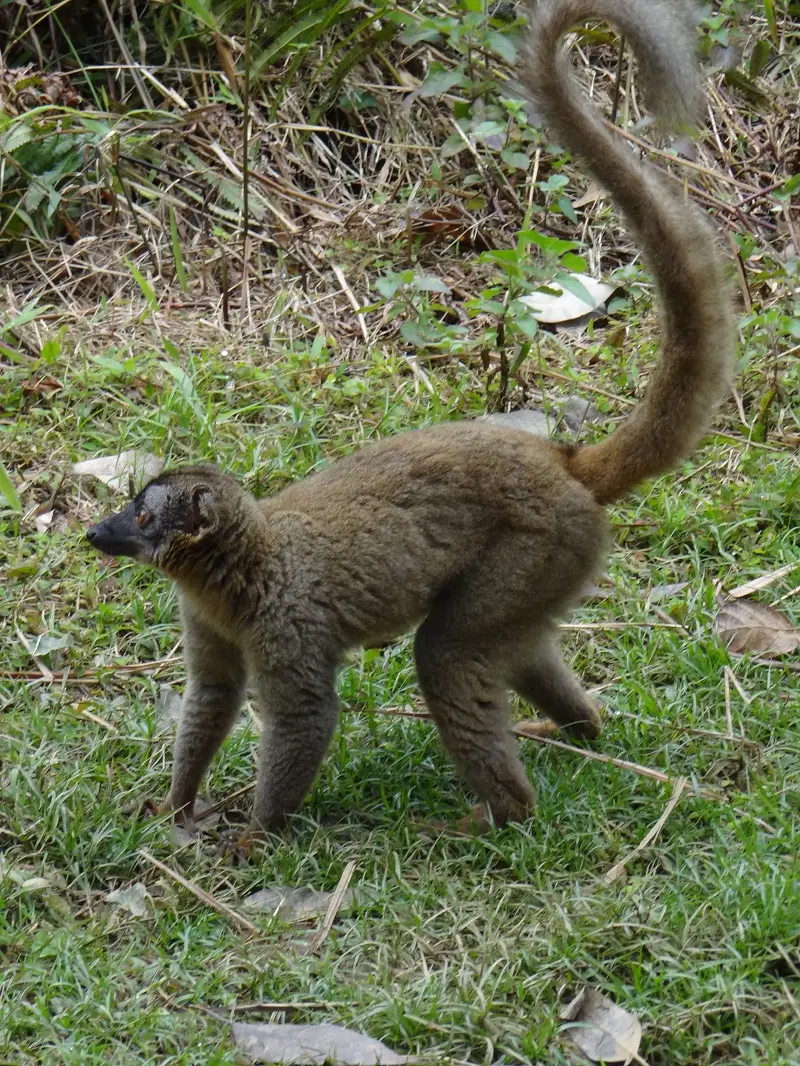 DSC01336-2-3.JPG