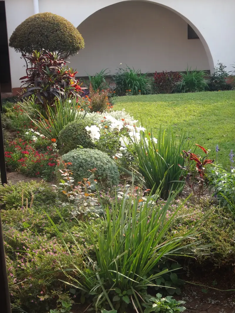 DSC01337-2.JPG