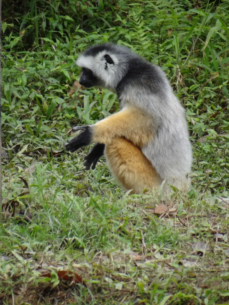 DSC01357.JPG