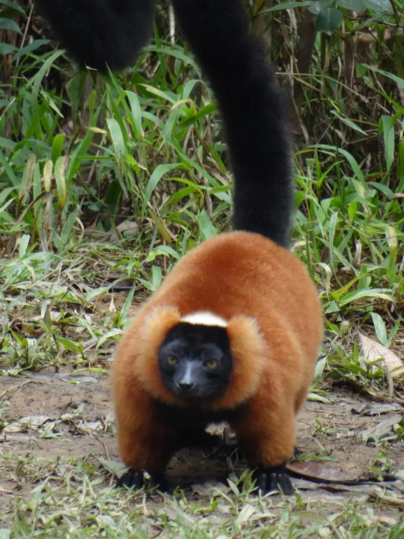 DSC01371-2.JPG