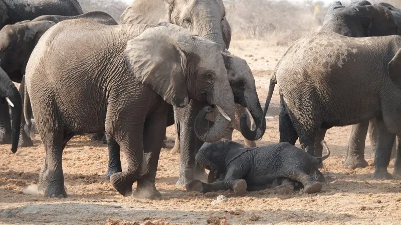 DSC01540-2.JPG