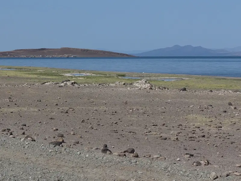 DSC01591.JPG