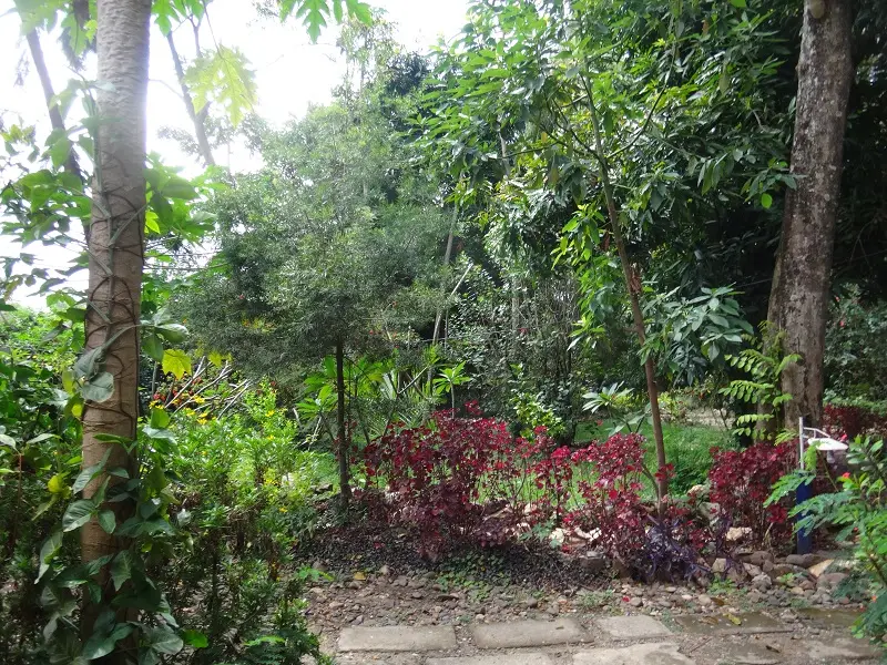 DSC02079-2.JPG