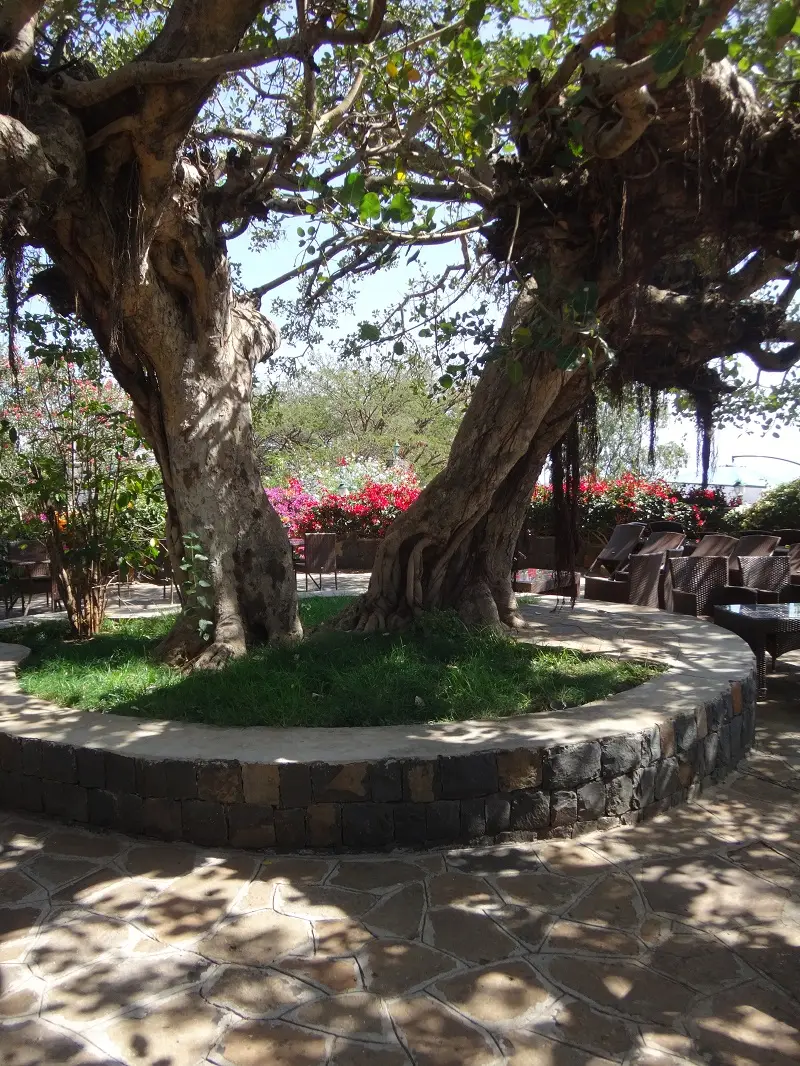 DSC02133.JPG