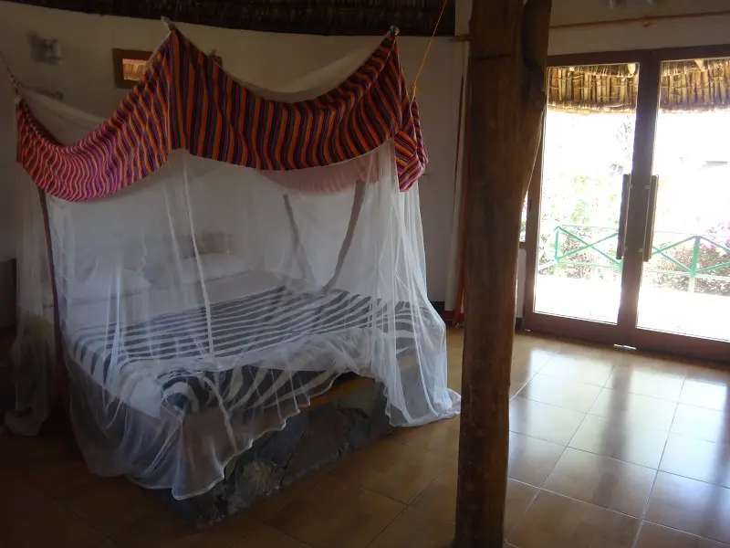 DSC02137-2.JPG